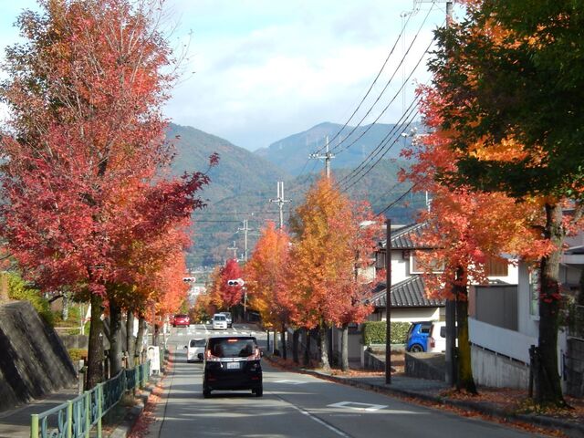 DSCN8584.JPG