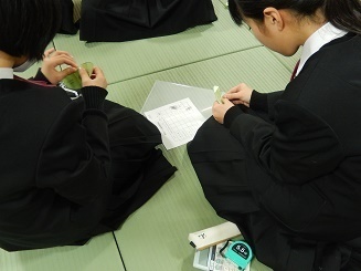 DSCN9689.JPG