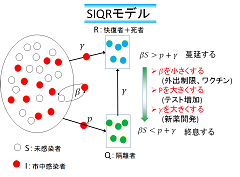 SIQRmodels.png